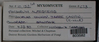 Image Associated With the Occurence